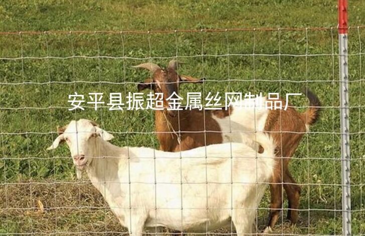 Ȧţø˿m.joyexam.cn
