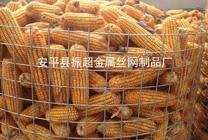 Ȧ׸˿m.joyexam.cn