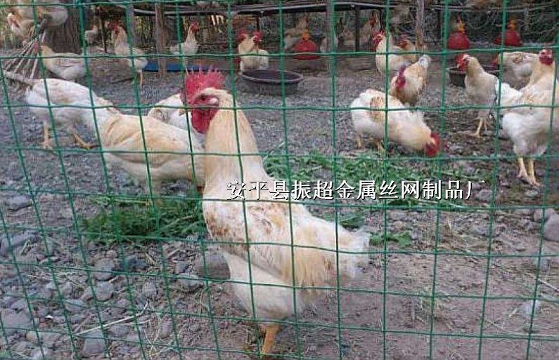 Χ,,Ȧ,˿http://m.joyexam.cn