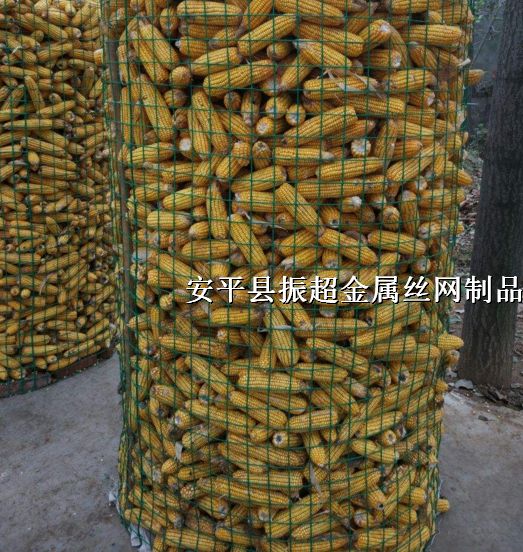 ȦΧhttp://m.joyexam.cn
