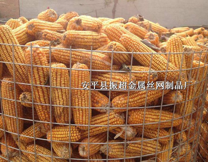 Ȧ˿http://m.joyexam.cn
